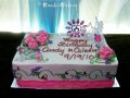 Birthday Cake-Toys 126